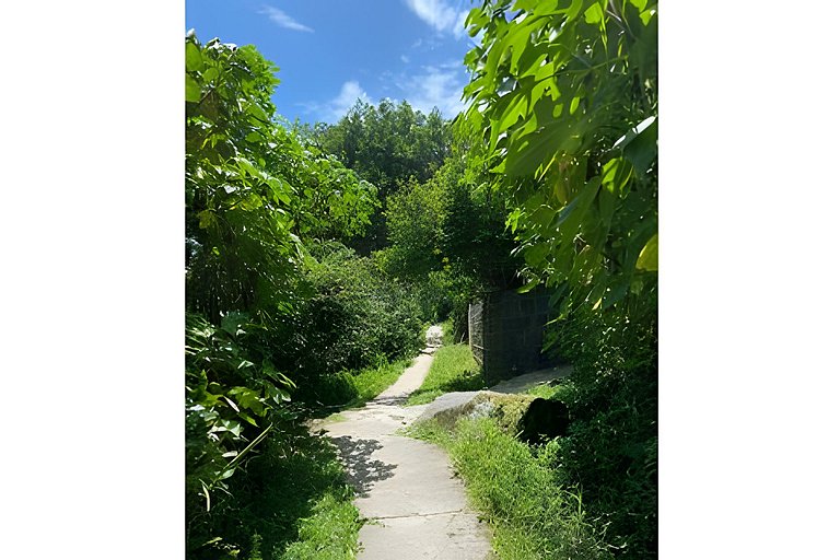 Temporada na Praia do Matadeiro - Casa