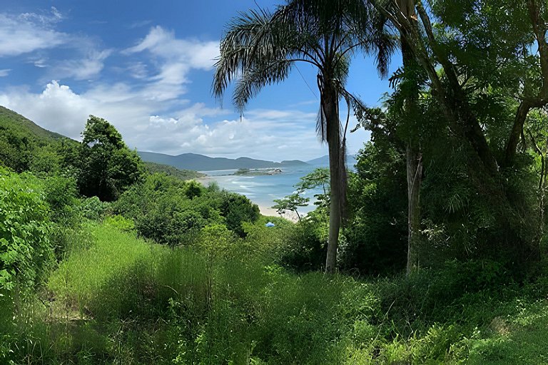 Matadeiro e Destino Floripa Estúdio