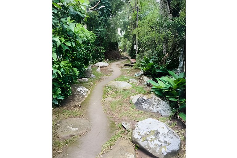Matadeiro e Destino Floripa Estúdio
