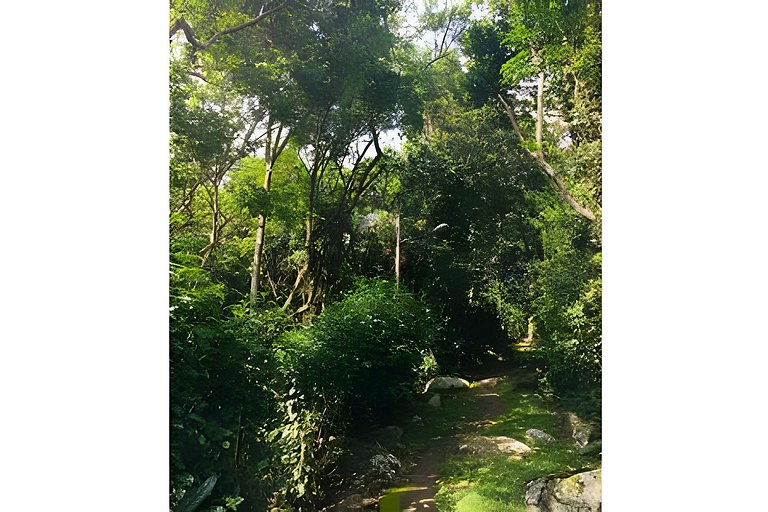 Matadeiro e Destino Floripa Suite