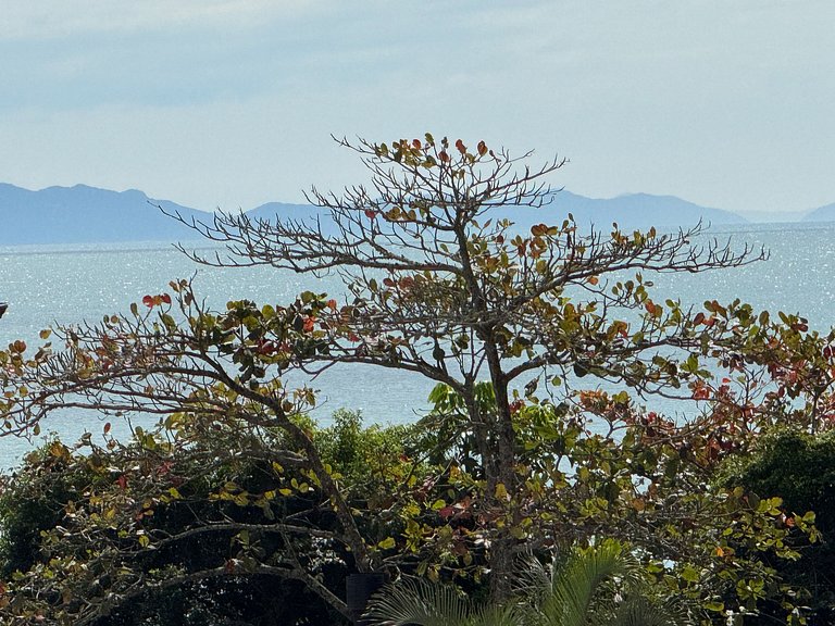 Jurerê Beach Village é Destino Floripa Suite Luxo